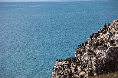 《心灵杀手2》新概念图公布 夏季无信息分享计划