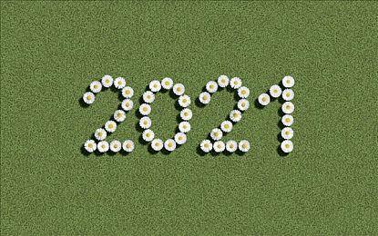 沙盒游戏《自然本能》登陆Steam抢先体验 国区33元